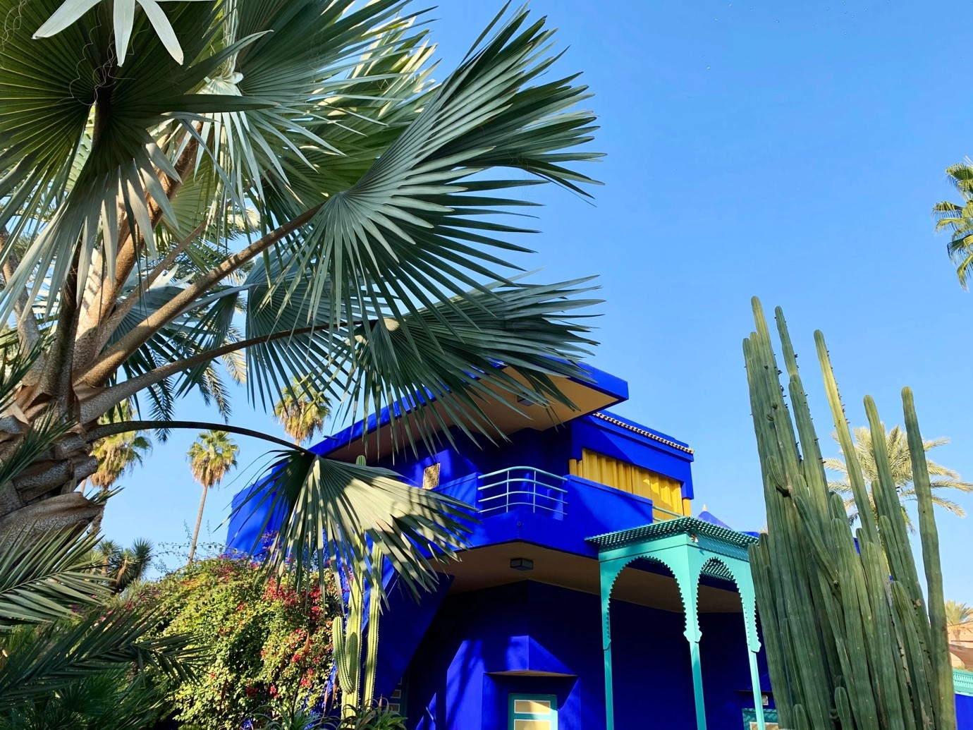 Garden majorelle 